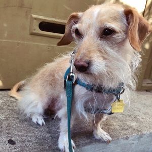 Meet your Posher, Lindsay